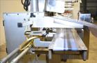Used Delta Systems Eagle High Speed Automatic Horizontal Flow Wrapper