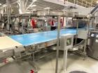 Fuji FW3400 Alpha VI Wrapping & Schubert TLM Robotic Cartoning Line – Bars, Cookies, Confectionery (Used)