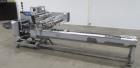 Used Ilapak Carrera 1000 Horizontal Flow Wrapper | High-Speed 2-Up Packaging Sys