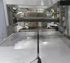 Used Ilapak Carrera 1000 Horizontal Flow Wrapper | High-Speed 2-Up Packaging System