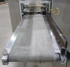 Used Ilapak Carrera 500 Horizontal Flow Wrapper | High-Speed 2-Up Packaging Machine