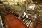 Used Ilapak Delta 4000 LDR-3SSC Horizontal Flow Wrapper