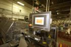 Used Ilapak Delta 4000 LDR-3SSC Horizontal Flow Wrapper
