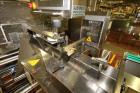 Used Ilapak Delta 4000 LDR-3SSC Horizontal Flow Wrapper