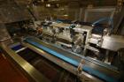 Used- Ilapak Delta 4000 LDR-3SSC Horizontal Flow Wrapper