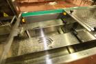 Used Ilapak Delta 4000 LDR-3SSC Horizontal Flow Wrapper with long dwell and zipper attachment. Has automatic smart belt feeder and last doing frozen waffles. Walking beam long dwell head with gusset ...
