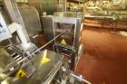 Used Ilapak Delta 4000 LDR-3SSC Horizontal Flow Wrapper with long dwell and zipper attachment. Has automatic smart belt feeder and last doing frozen waffles. Walking beam long dwell head with gusset ...