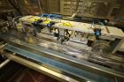 Used Ilapak Delta 4000 LDR-3SSC Horizontal Flow Wrapper