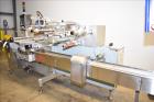 Used Delta Systems / Ilapak Eagle High Speed Automatic Horizontal Flow Wrapper.