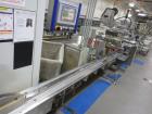 Used Delta Systems / Ilapak Eagle High Speed Automatic Horizontal Flow Wrapper.