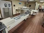 Used Ilapak Carrera 500M Automatic Horizontal Flow Wrapper – 20–100 PPM, 10