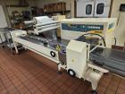 Used Ilapak Carrera 500M Automatic Horizontal Flow Wrapper – 20–100 PPM, 10