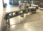 Used Record Model Jaguar On-Edge Horizontal Cracker/Cookie Flow Wrapper
