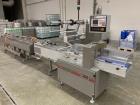 Used-Klockner Hansel Tevopharm Flow Wrapper