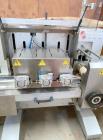 Delfin Inverted Seal Horizontal Flow Wrapper, Model Sirio 500-E