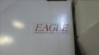 Used Eagle Hydraulic Gaylord Box Dumper Station and Hopper.