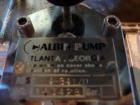 USED: Stainless Steel Albin gear pump, model RBS