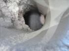 Used Welex 3.5