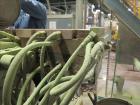 Used APV Baker Perkins 80mm Twin Screw Extruder, Model MP 2080.  DC Motor 150HP.  New PIV gearbox.  Includes; Schenck Accurate 902M Series Feeder, Steel Belt Systems Cooling Belt, Controls and Drive ...