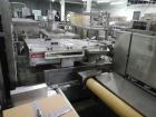 Used Leistritz Twin Screw Wet Granulation System 