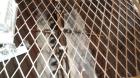 Used Carbon Steel NBE National Bulk Equipment Blender / Feeder