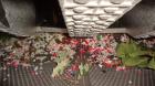 Used Cumberland Granulator, Model X1000