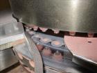 Used Fette Rotor Tablet Press, Type P2100. 43 Stations, B tooling, Overall dimensions: 3’9” (1200 mm) L x 4’4” (1350 mm) W x 6’8” (2100 mm) H. Incl. (1) Kramer deduster, type E09, (1) Safeline, metal...