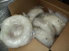 Used Manesty Model BB4 Bi-Layer 27 Station Rotary Tablet Press