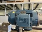 Penn Valley Pump Company Double Disc Sludge and Slurry Pump, Model 6DDSX76 CNU