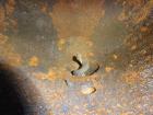 Used Carbon Steel Nash Liquid Ring Vacuum Pump, Model 904-R2