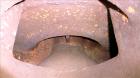 Used Carbon Steel Nash Liquid Ring Vacuum Pump, Model CL-4002