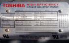Used Carbon Steel Nash Elmo Liquid Ring Vacuum Pump, model XL 500/7