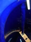 Used Pfaudler Glass Lined Reactor, 1000 Gallon, 9115 Blue Glass. Approximately 60