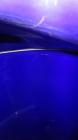 Used 30 Gallon Pfaudler Clamp Top Glass Lined Reactor