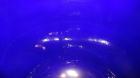 Used 30 Gallon Pfaudler Clamp Top Glass Lined Reactor