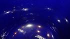 Used Pfaudler Clamp Top Glass Lined Reactor, 20 Gallon, 9115 Blue Glass, Vertical.  Approximately 20