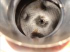 Used Northland Stainless Reactor, Approximate 200 Gallon, 316L Stainless Steel