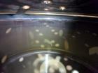 Used Northland Stainless Inc. Reactor, Approximate 900 Gallon