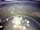Used Northland Stainless Inc. Reactor, Approximate 900 Gallon