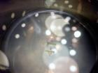 Used Northland Stainless Inc. Reactor, Approximate 900 Gallon