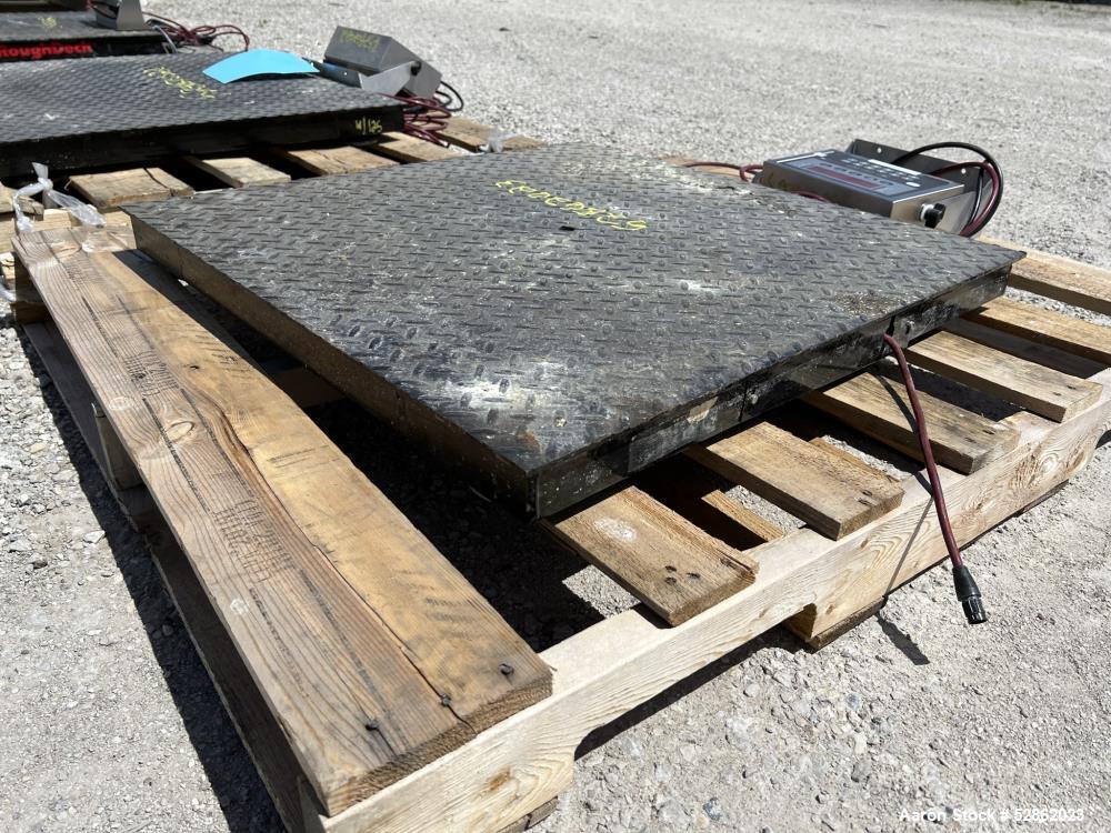 Used Rice Lake 30" x 30" Class III Floor Scale,
