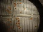 Used Great Western Manufacturing QA Series In-Line Sifter, Model QA46, 304 Stai
