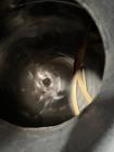 Used Sweco Sifter / Screener, Model S4806886, 48