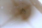 Used  Imperial Silo, Approximately 30,000 Gallon