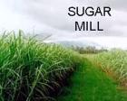 Used- Sugar Mill, 35 Tons Prepared Sugar Cane per Hour Grinding Capacity.