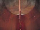 Used Clawson Pressure Tank, 13,504 gallon, SA-516-070 carbon steel, horizontal. 125-1/2