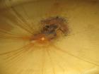 Used Henders Boiler & Tank Company Pressure Tank