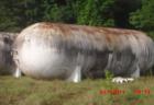 Used 20,000 Gallon Riley Beaird Tank, 142 psi @ 200 deg F, 10'10