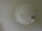 Used Schick Tank, 8,000 Gallon, Carbon Steel, Vertical.