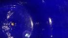 Used Pfaudler Glass Lined Receiver Tank, 350 Gallon, Model CVC48-350-50, 9115 Blue Glass, Vertical. 48